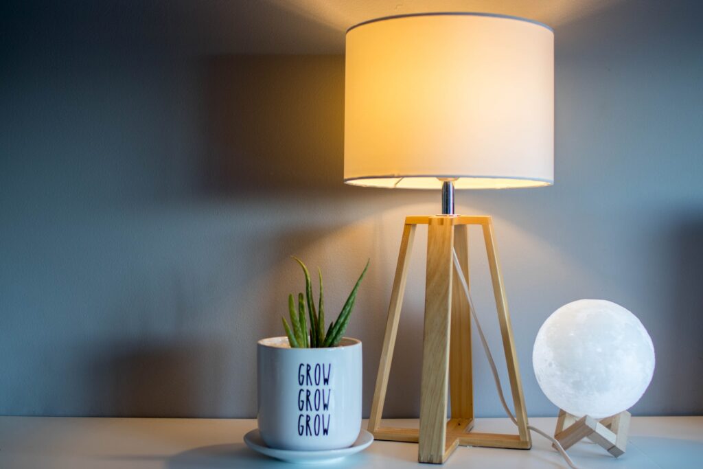 plant and bedside lamp
