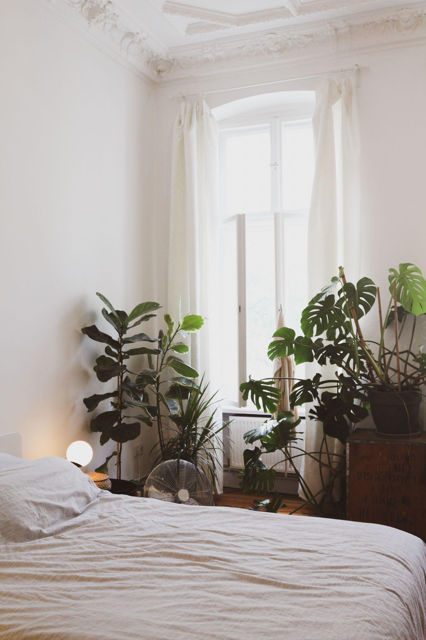 warm bedroom decor