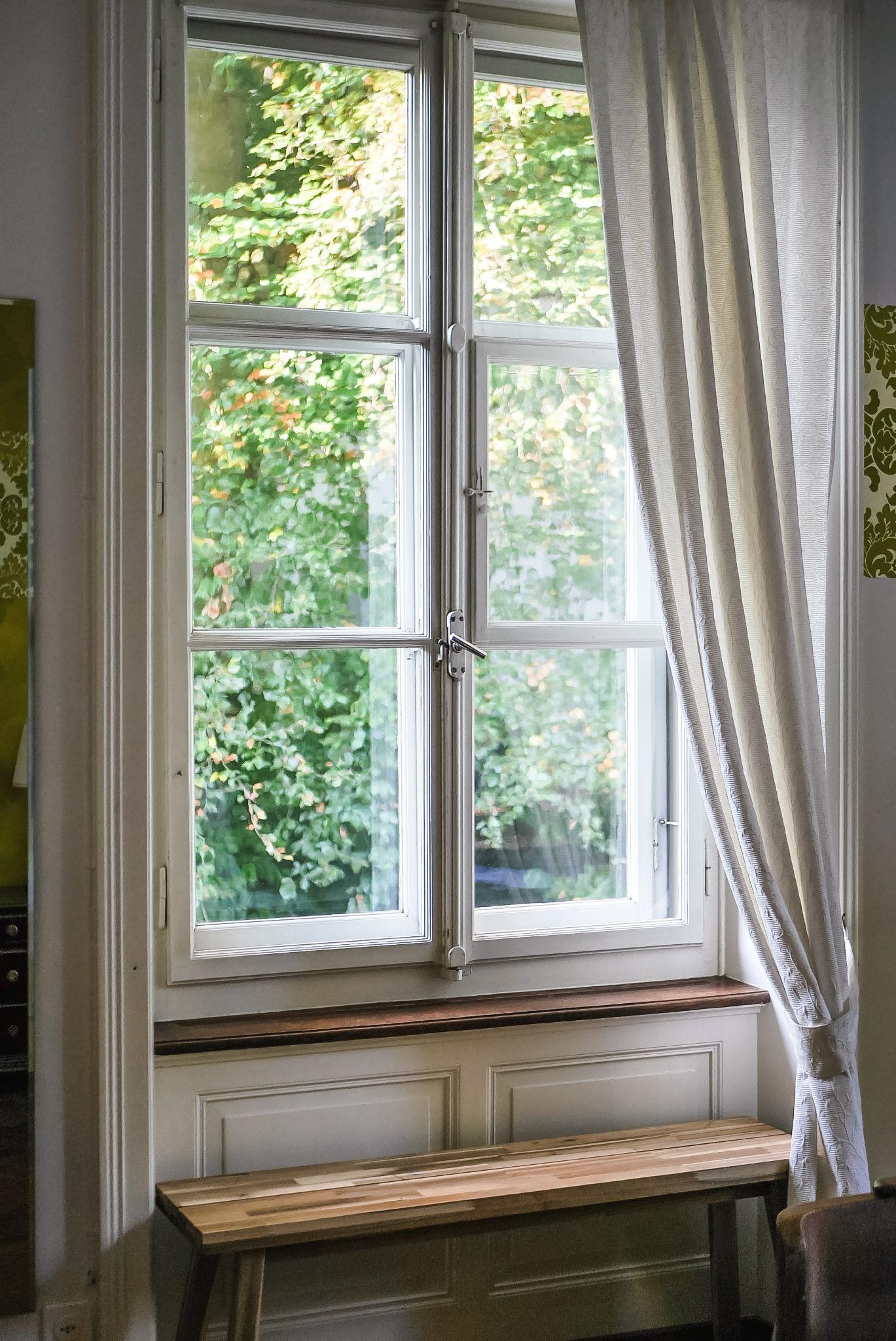 window showing outside