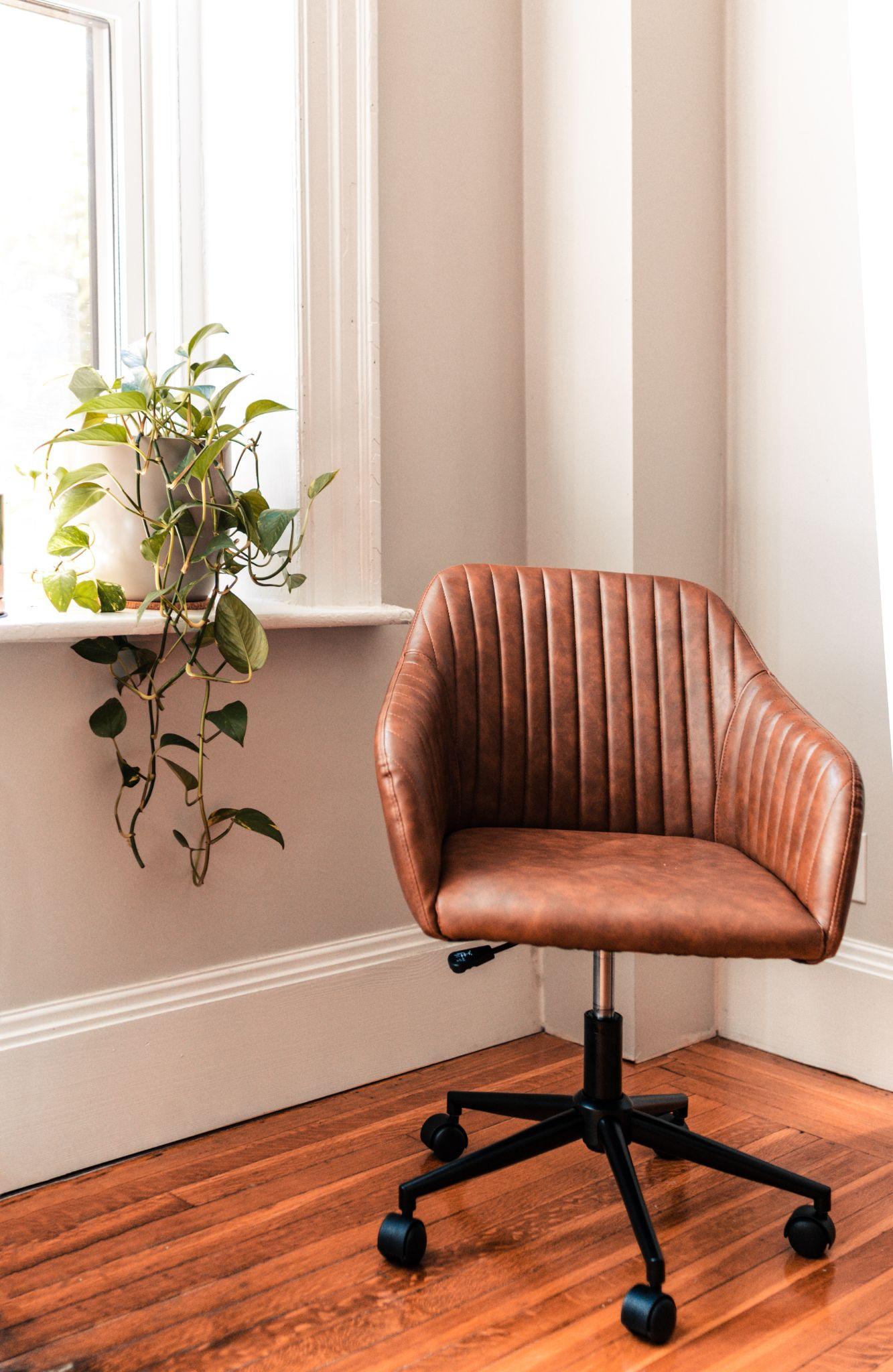 a plant beside windows and a leather chair