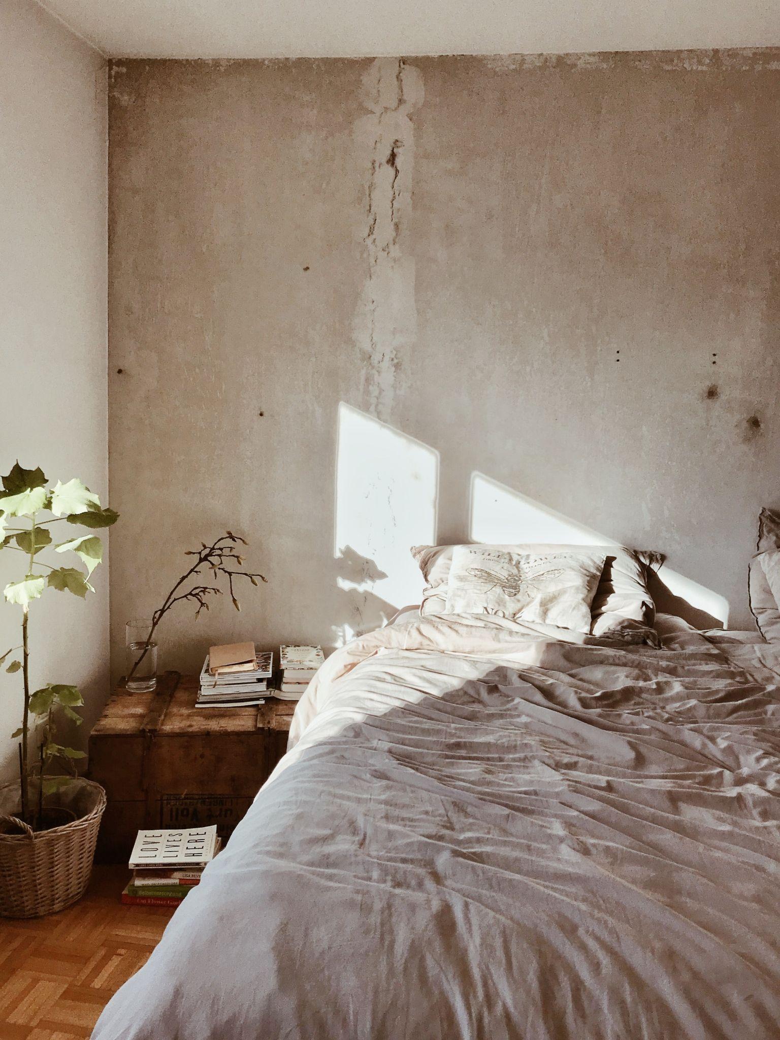 a room with bed, a desk with book and a plant
