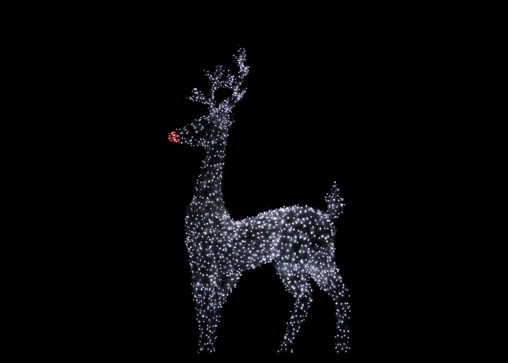 Reindeer with white lights
